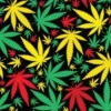My Mary Jane